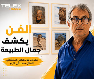 Revue de presse de l’exposition “Sculptures érosives” de Mustapha Taiau - Telexpresse
