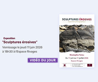 Annonce - Exposition “Sculptures érosives” de Mustapha Taiau 
