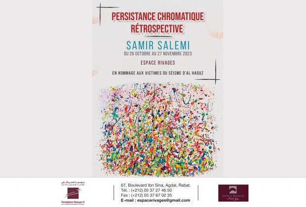 Vernissage de l'exposition "Persistance chromatique Rétrospective" de Samir Salemi