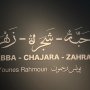 Le MMVI accueille « Habba – Chajara – Zahra » de Younes Rahmoun