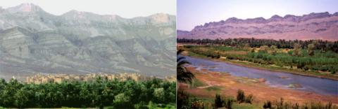 Les oasis fluviatiles du Dra