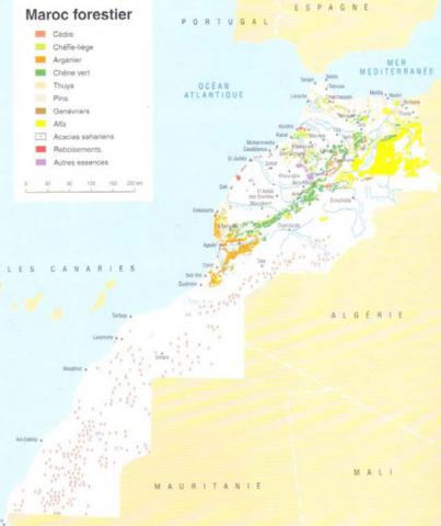 Le Maroc forestier