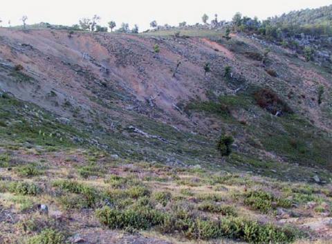 Site dégradé d’une zénaie