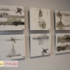 exposition-lau-dela-adil-haouata-14