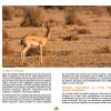 marocForestierChp4P1-06