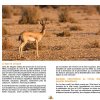 marocForestierChp4P1-06