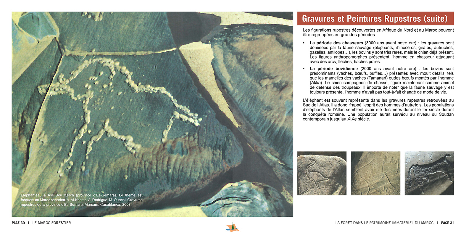 marocForestierChp8P2-03